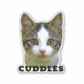 Laden Sie Ihr Foto und den Personalisierten Aufkle Aufkleber (Vorderseite)