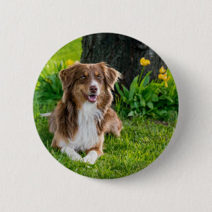 Laden Sie Ihr Lieblings-Foto hoch Button