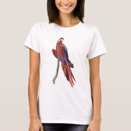 Ladies t-shirt with scarlet macaw design