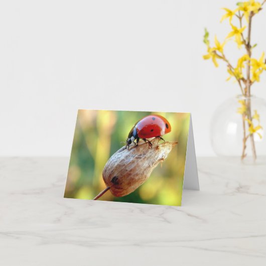 Ladtbug Karte (Gelbe Blume)