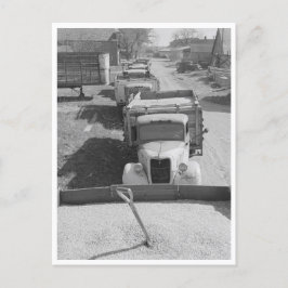 Ladungen von Mais ohne Schale Postkarte