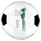 Lady Amherst-Cartoon Fußball (Gedreht)