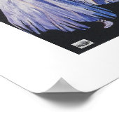 Lady ballerinas poster (Ecke)