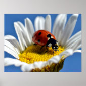 Lady Bug auf daisy Tasse Mouse Pad Poster (Vorne)