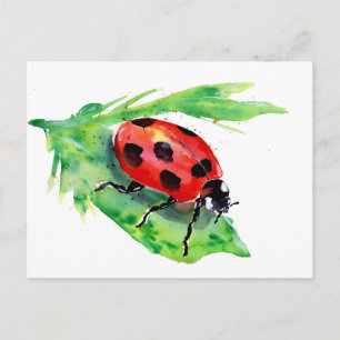 Lady Bug auf einem grünen Blatt Postkarte