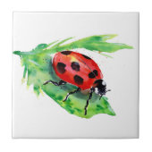 Lady Bug auf grünem Leaf Fliese (Vorderseite)