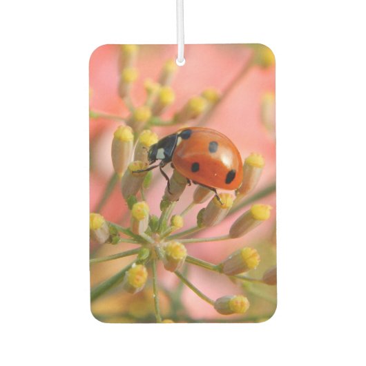Lady Bug Car Air Freshener Autolufterfrischer (Vorderseite)