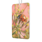 Lady Bug Car Air Freshener Autolufterfrischer (Links)