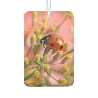 Lady Bug Car Air Freshener Autolufterfrischer