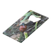 Lady Bug Geldbeutel Flaschenöffner (Vorderseite Schrägansicht)