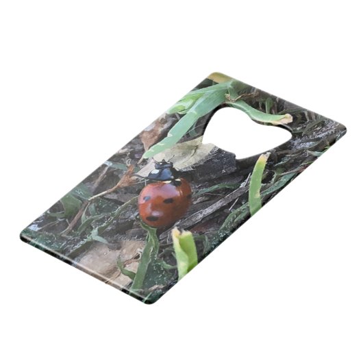 Lady Bug Geldbeutel Flaschenöffner (Vorderseite Schrägansicht)