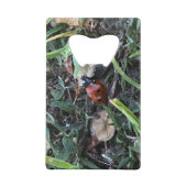 Lady Bug Geldbeutel Flaschenöffner (Rückseite)