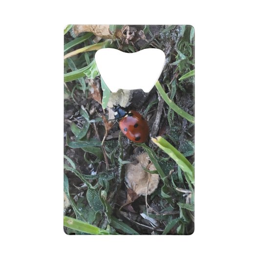 Lady Bug Geldbeutel Flaschenöffner (Rückseite)