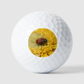 Lady Bug Golfball (Vorderseite)
