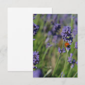 Lady Bug & Lavender Mitteilungskarte (Vorne/Hinten)