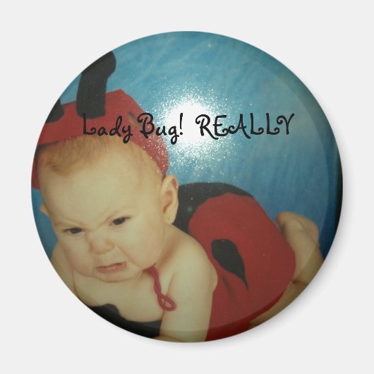 Lady Bug Magnet (Vorne)