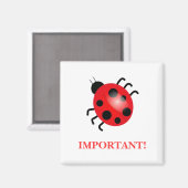 Lady Bug | Magnet (Vorderseite/Rückseite)
