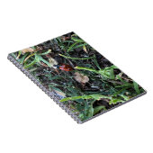 Lady Bug Notizblock (Rechte Seite)