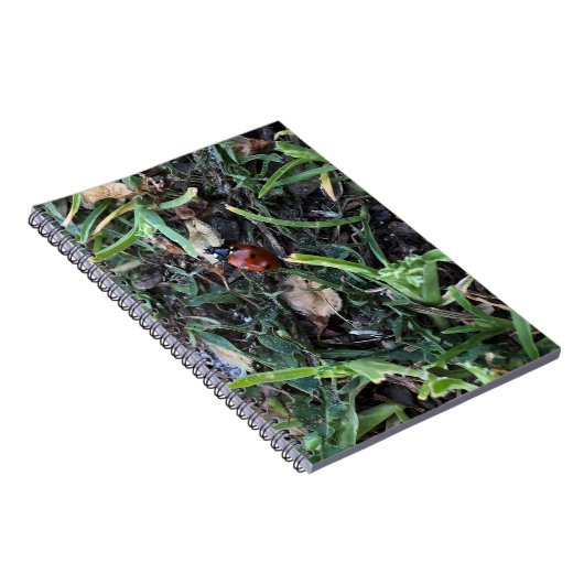 Lady Bug Notizblock (Rechte Seite)