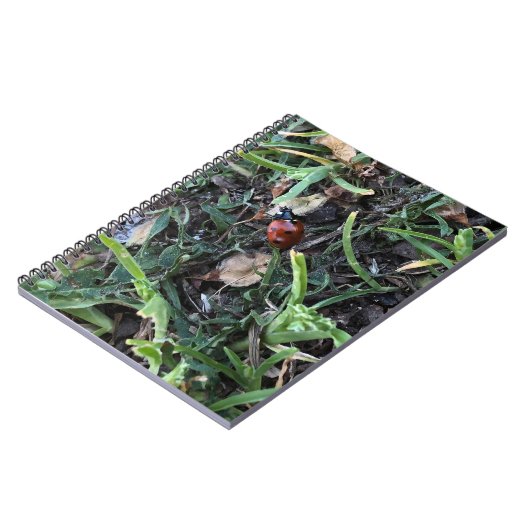 Lady Bug Notizblock (Linke Seite)