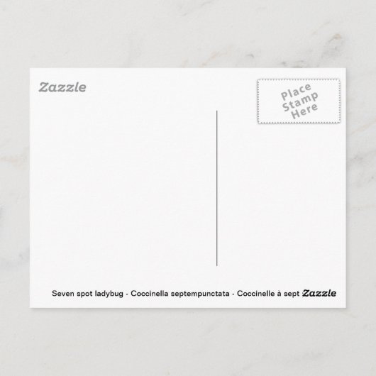 Lady bug on daisy postkarte (Rückseite)