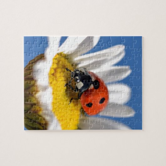 Lady bug on daisy puzzle (Horizontal)