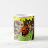Lady bug on Dandelion Kaffeetasse (Mittel)