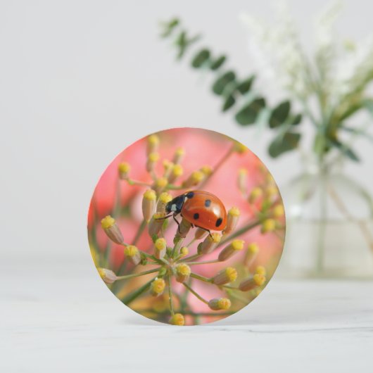 Lady-Bug-Party Einladung (Stehend Vorderseite)