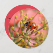 Lady-Bug-Party Einladung (Vorne/Hinten)