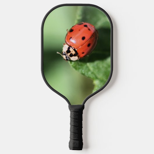 Lady Bug Pickleball Schläger (Rückseite)