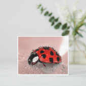 Lady Bug Postkarte (Stehend Vorderseite)