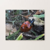 Lady Bug Puzzle (Horizontal)