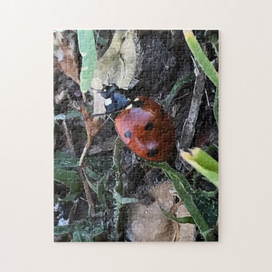 Lady Bug Puzzle (Vertikal)