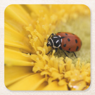 Lady Bug Rechteckiger Pappuntersetzer
