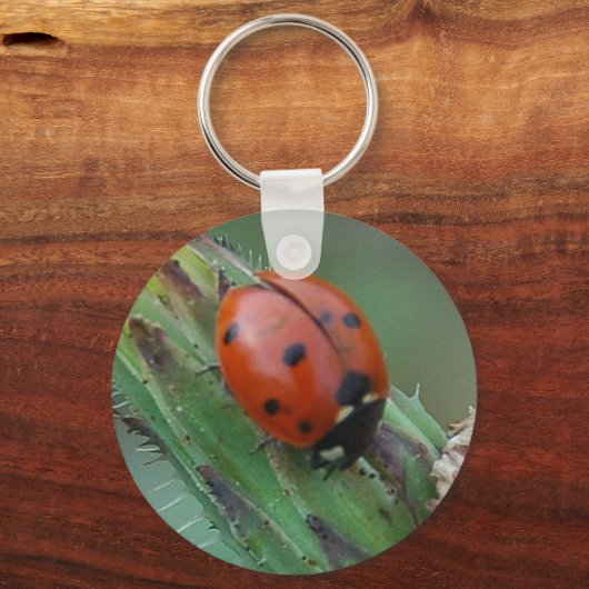 Lady Bug Schlüsselanhänger (Vorderseite)