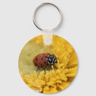 Lady Bug Schlüsselanhänger