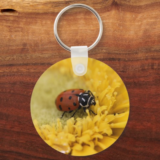 Lady Bug Schlüsselanhänger (Vorderseite)