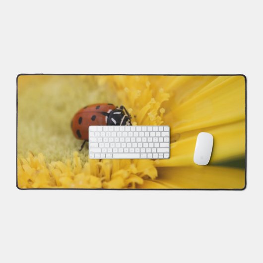 Lady Bug Schreibtischunterlage (Tastatur & Maus)