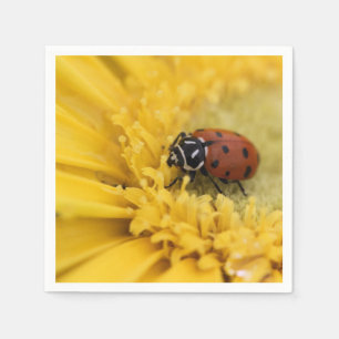 Lady Bug Serviette