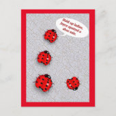 Lady Bug Shoe Sale Funny Postkarte (Vorderseite)
