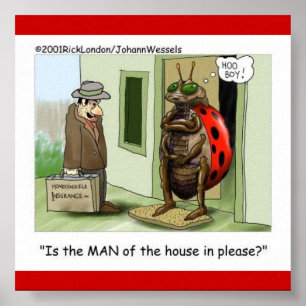 Lady Bug trifft männlicher Chauvinist Poster