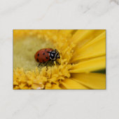 Lady Bug Visitenkarte (Rückseite)
