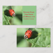 Lady Bug Visitenkarte (Vorne/Hinten)