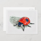 Lady Bug Watercolor Postkarte (Vorne/Hinten)