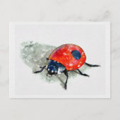 Lady Bug Watercolor Postkarte (Vorderseite)