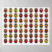 Lady Bugs 1 Poster (Vorne)