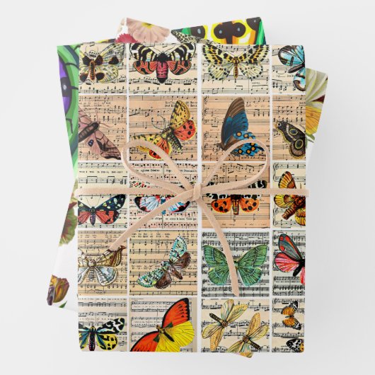 Lady bugs Butterflies insekt Sheet Music Blume Geschenkpapier Set (Beispiel)