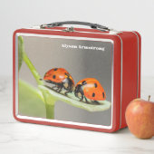Lady Bugs Metall Brotdose (Beispiel)