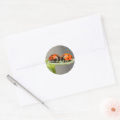 Lady Bugs Round Sticker (Umschlag)