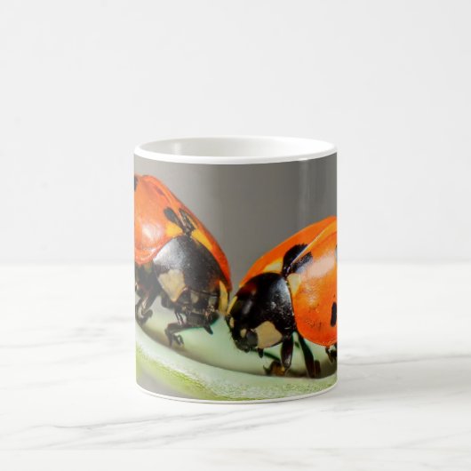 Lady Bugs White Coffee Tasse (Mittel)